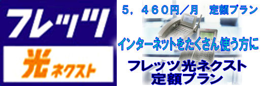 �C���^�[�l�b�g����������g�������ɂ̓t���b�c���l�N�X�g��z�v����