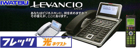 岩通ビジネスホンLEVANCIO(レバンシオ)はひかり電話回線をアダプターなしで収容可能です。契約回線を見直しませんか?